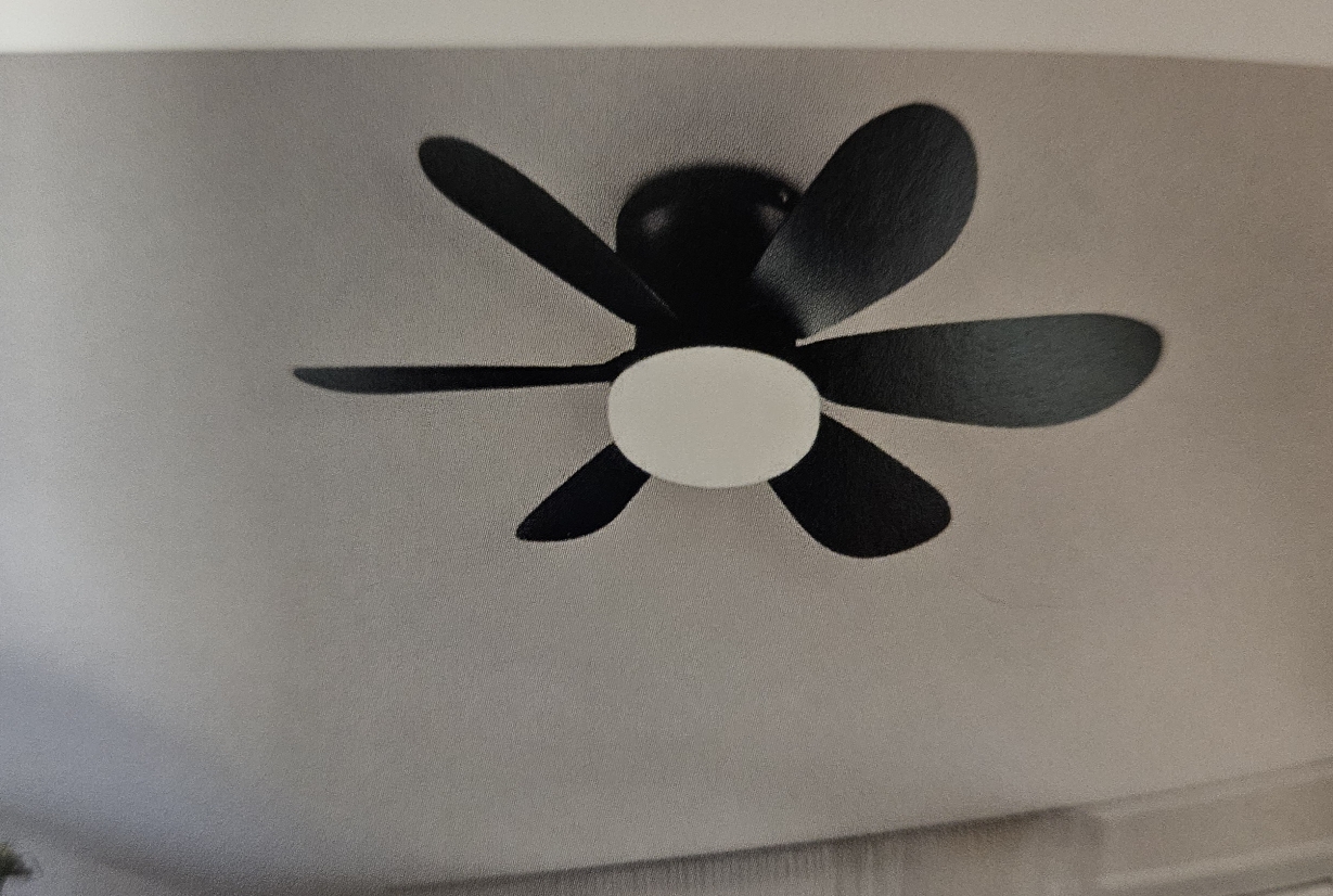 Ventilateur plafond